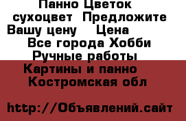 Панно Цветок - сухоцвет. Предложите Вашу цену! › Цена ­ 4 000 - Все города Хобби. Ручные работы » Картины и панно   . Костромская обл.